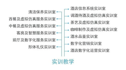 從酒店管理到數(shù)字化運(yùn)營 專業(yè)名稱更迭背后的行業(yè)變革
