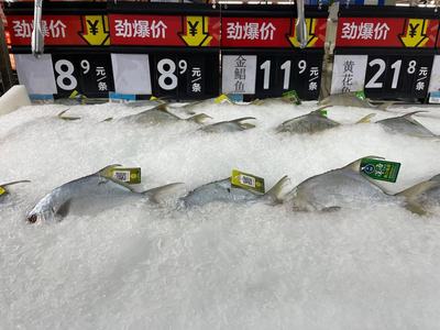 冷鏈產(chǎn)品還能買嗎？記者實(shí)探 有菜場(chǎng)停售進(jìn)口海鮮，部分商超啟用水產(chǎn)品“身份證”